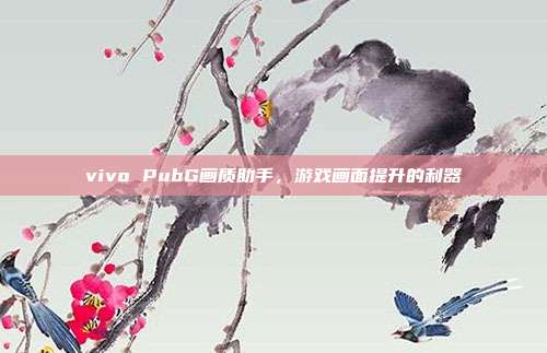 vivo PubG画质助手,游戏画面提升的利器