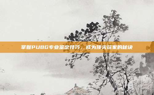 掌握PUBG专业鉴定技巧,成为顶尖玩家的秘诀