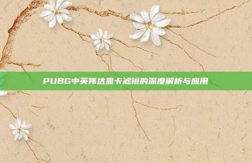 PUBG中英伟达显卡滤镜的深度解析与应用