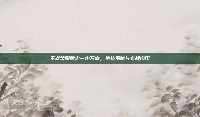 王者荣耀黄忠一炮万血,绝技揭秘与实战应用