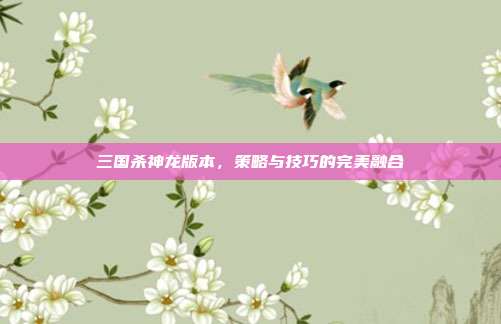 三国杀神龙版本,策略与技巧的完美融合