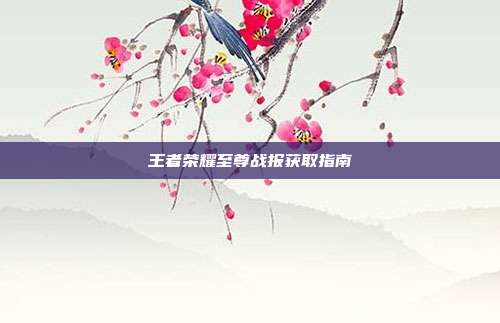 王者荣耀至尊战报获取指南