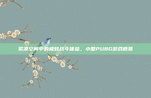 紧凑空间中的极致战斗体验,小型PUBG游戏概览