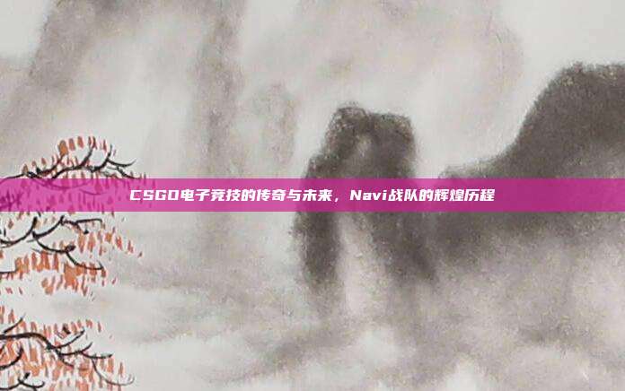 CSGO电子竞技的传奇与未来,Navi战队的辉煌历程