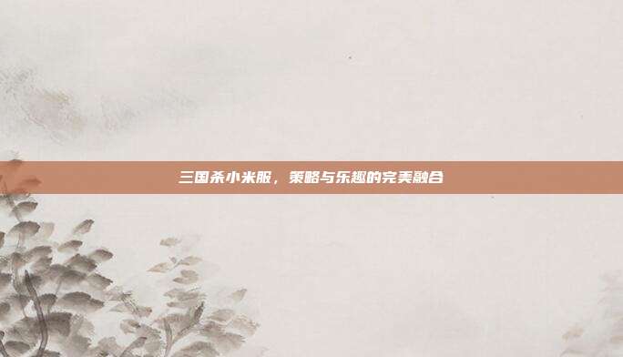 三国杀小米服,策略与乐趣的完美融合