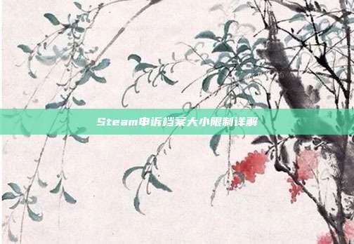 Steam申诉档案大小限制详解