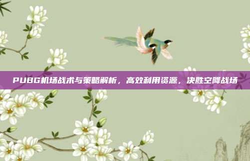 PUBG机场战术与策略解析,高效利用资源,决胜空降战场