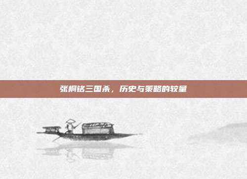 张桐铭三国杀,历史与策略的较量