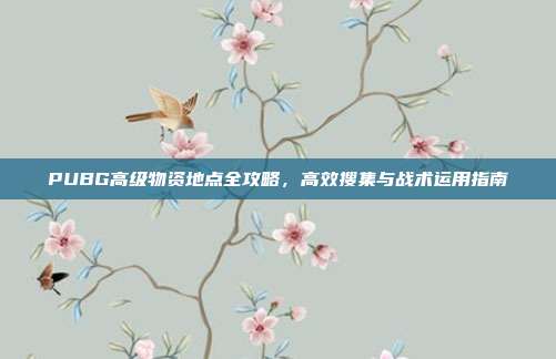 PUBG高级物资地点全攻略,高效搜集与战术运用指南