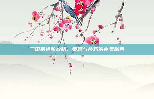 三国杀进阶攻略,策略与技巧的完美融合