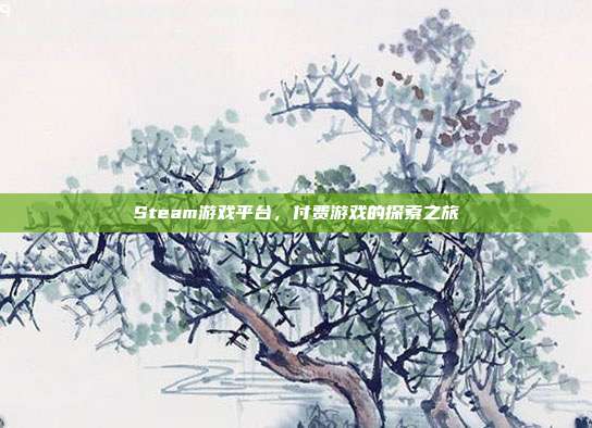 Steam游戏平台,付费游戏的探索之旅