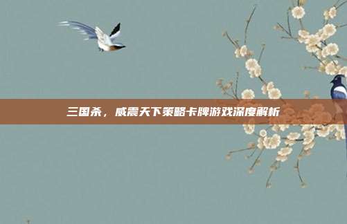 三国杀,威震天下策略卡牌游戏深度解析