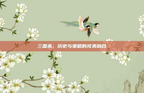 三国杀,历史与策略的完美融合
