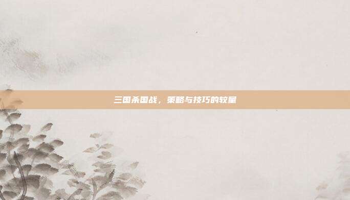 三国杀国战,策略与技巧的较量