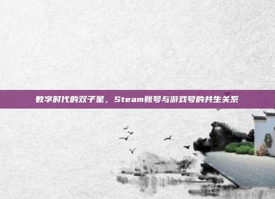 数字时代的双子星,Steam账号与游戏号的共生关系