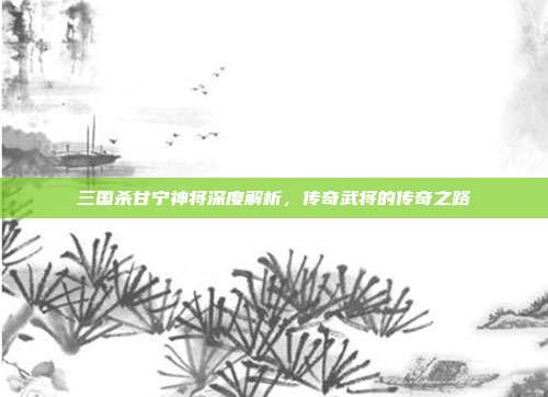 三国杀甘宁神将深度解析,传奇武将的传奇之路
