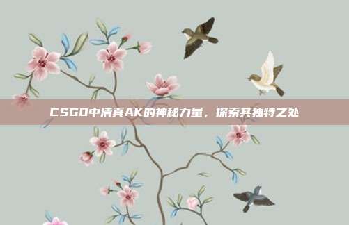 CSGO中清真AK的神秘力量,探索其独特之处