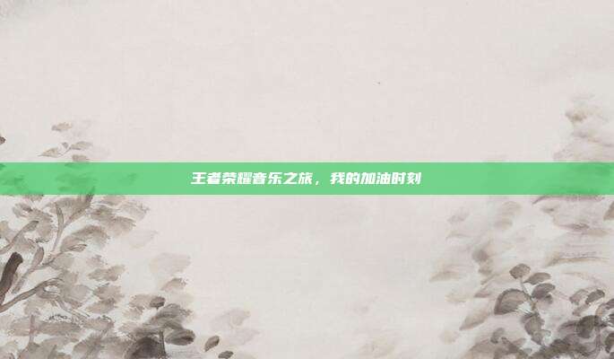 王者荣耀音乐之旅,我的加油时刻