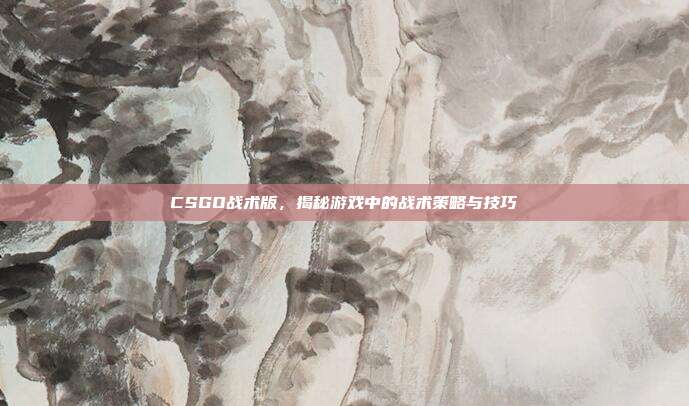 CSGO战术版,揭秘游戏中的战术策略与技巧