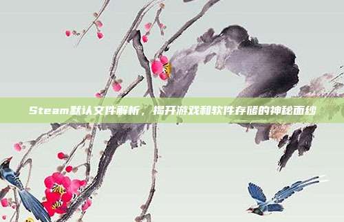 Steam默认文件解析,揭开游戏和软件存储的神秘面纱