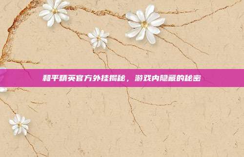 和平精英官方外挂揭秘,游戏内隐藏的秘密