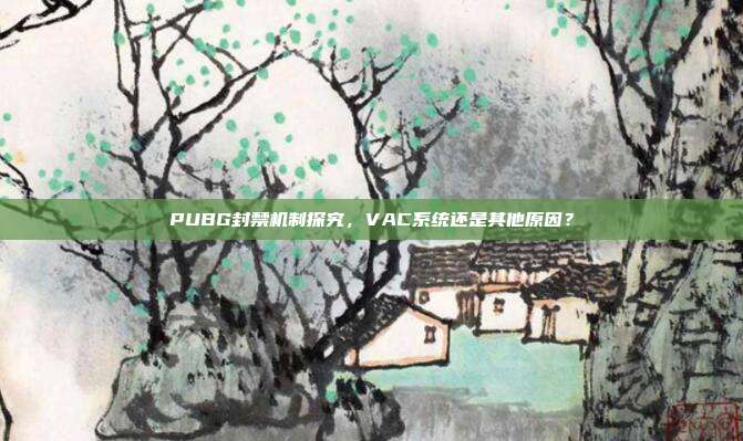 PUBG封禁机制探究,VAC系统还是其他原因?