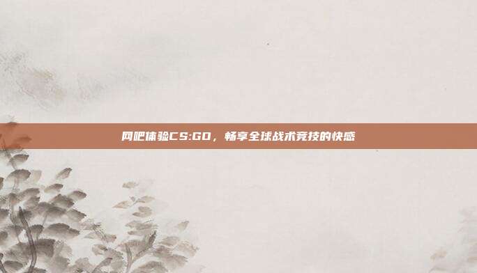 网吧体验CS:GO,畅享全球战术竞技的快感