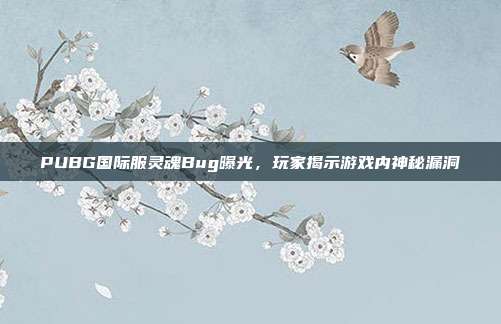 PUBG国际服灵魂Bug曝光,玩家揭示游戏内神秘漏洞