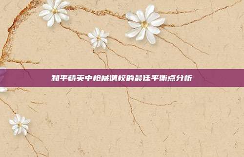 和平精英中枪械调校的最佳平衡点分析