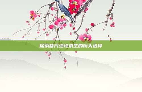 探索替代绝地求生的镜头选择