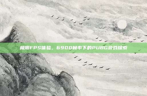 极限FPS体验,6900帧率下的PUBG游戏探索