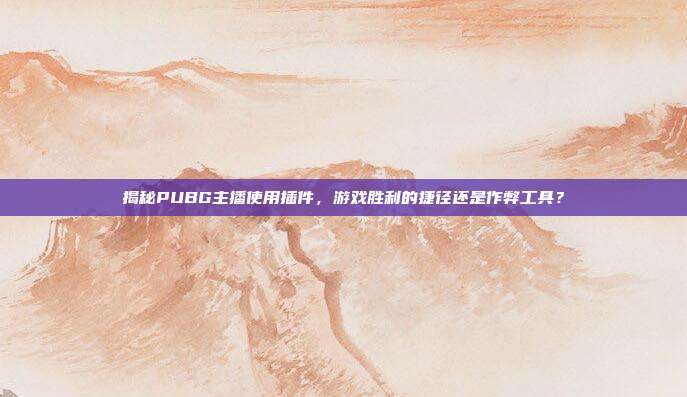 揭秘PUBG主播使用插件,游戏胜利的捷径还是作弊工具?