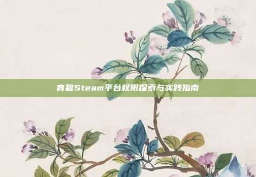 育碧Steam平台权限探索与实践指南