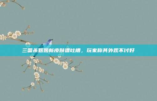 三国杀甄姬新皮肤遭吐槽,玩家称其外观不讨好