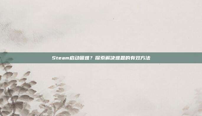 Steam启动困难?探索解决难题的有效方法