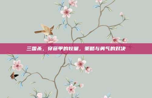 三国杀,穿藤甲的较量,策略与勇气的对决