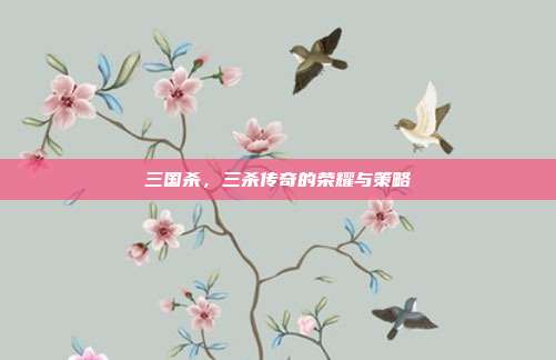 三国杀,三杀传奇的荣耀与策略