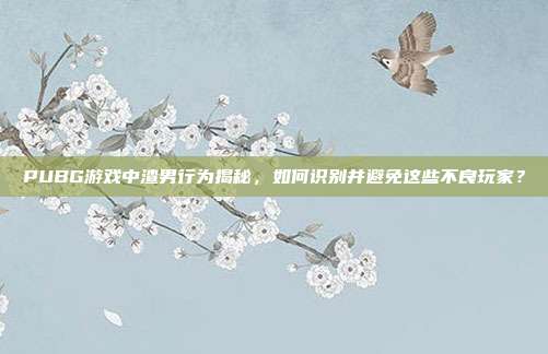 PUBG游戏中渣男行为揭秘,如何识别并避免这些不良玩家?