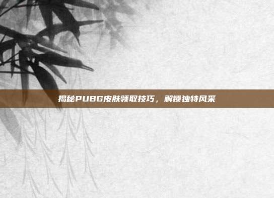 揭秘PUBG皮肤领取技巧,解锁独特风采