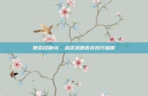 使命召唤16,战区武器丢弃技巧指南