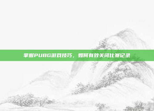 掌握PUBG游戏技巧,如何有效关闭比赛记录