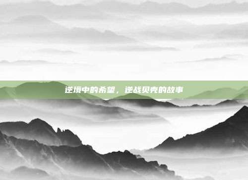 逆境中的希望,逆战贝壳的故事