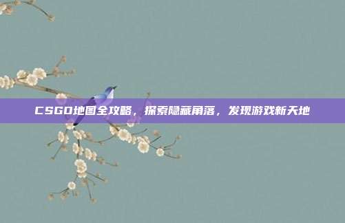 CSGO地图全攻略,探索隐藏角落,发现游戏新天地