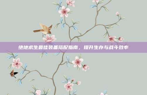 绝地求生最佳装备搭配指南,提升生存与战斗效率