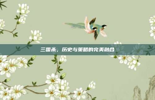 三国杀,历史与策略的完美融合
