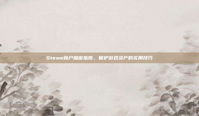 Steam账户加密指南,保护游戏资产的实用技巧