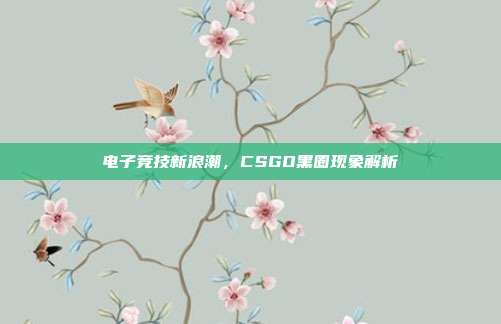 电子竞技新浪潮,CSGO黑圈现象解析