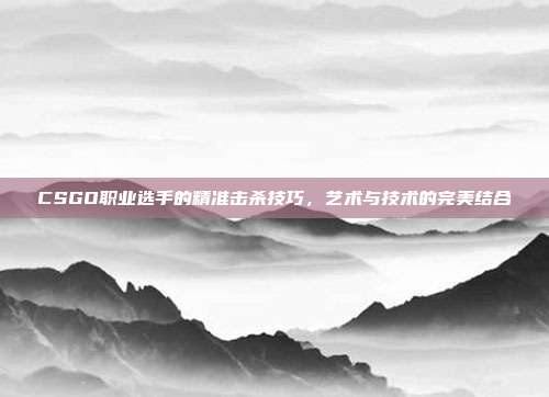 CSGO职业选手的精准击杀技巧,艺术与技术的完美结合