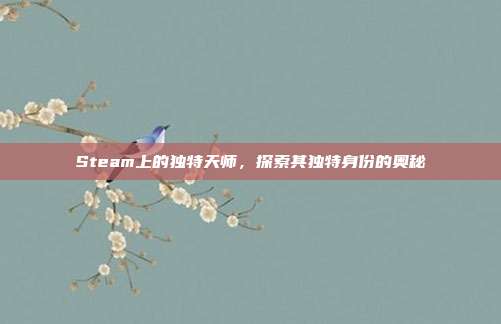 Steam上的独特天师,探索其独特身份的奥秘