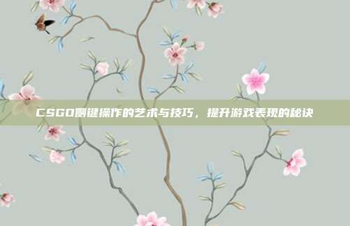 CSGO侧键操作的艺术与技巧,提升游戏表现的秘诀